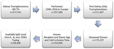 Can PIRCHE-II Matching Outmatch Traditional HLA Matching?